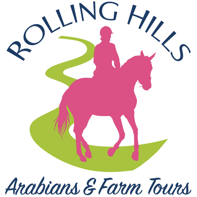 Rolling Hills Arabian Horses and Farm Tours
